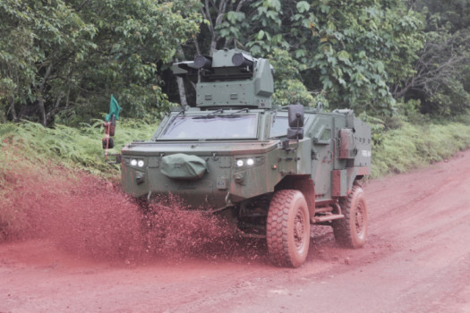 PARS 4x4 (40)