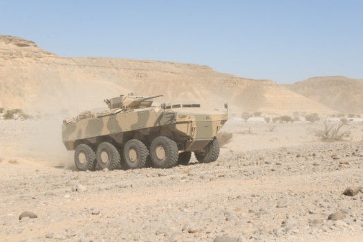 PARS III 8x8 (65)