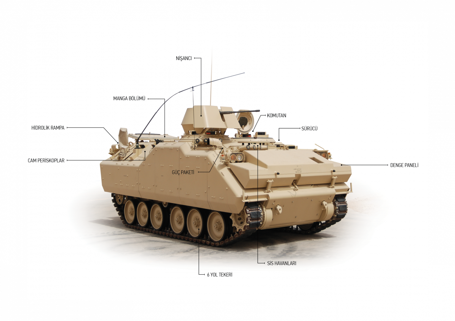 2022 ZMA 19 TR INFO